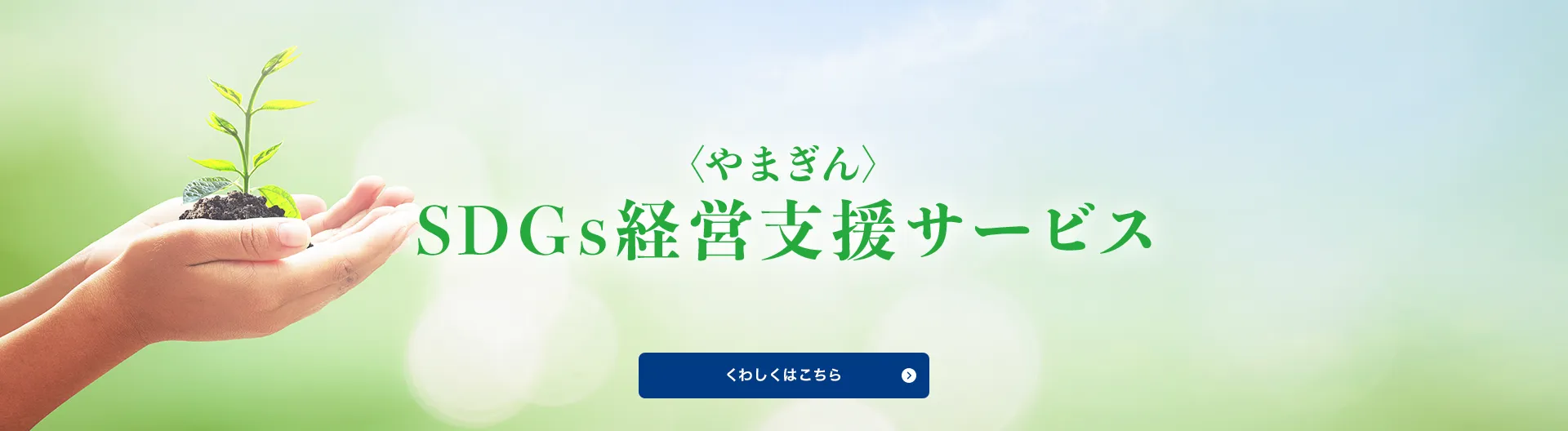 〈やまぎん〉SDGs経営支援サービス
